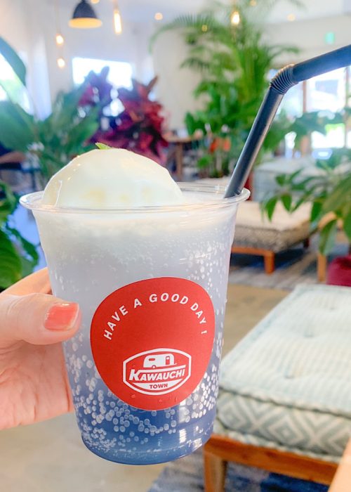 四国・徳島おしゃれ美活旅｜人気のおしゃれカフェ6選【SNS映え】