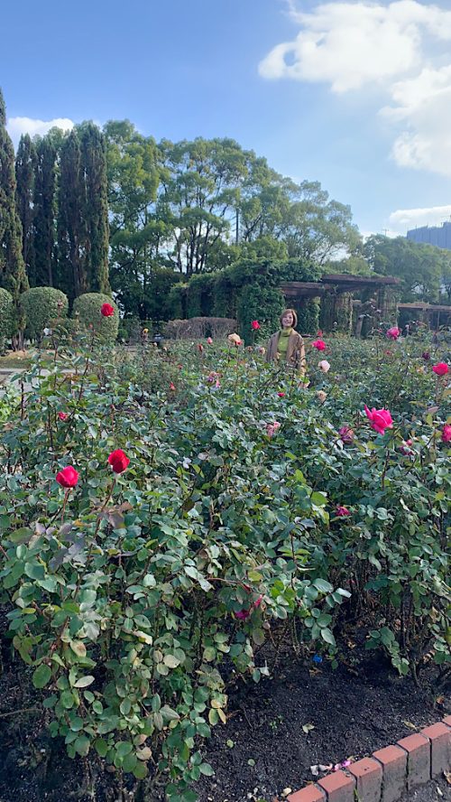 徳島駅周辺でおすすめ!インスタ映えスポット5選|徳島おしゃれ美活旅