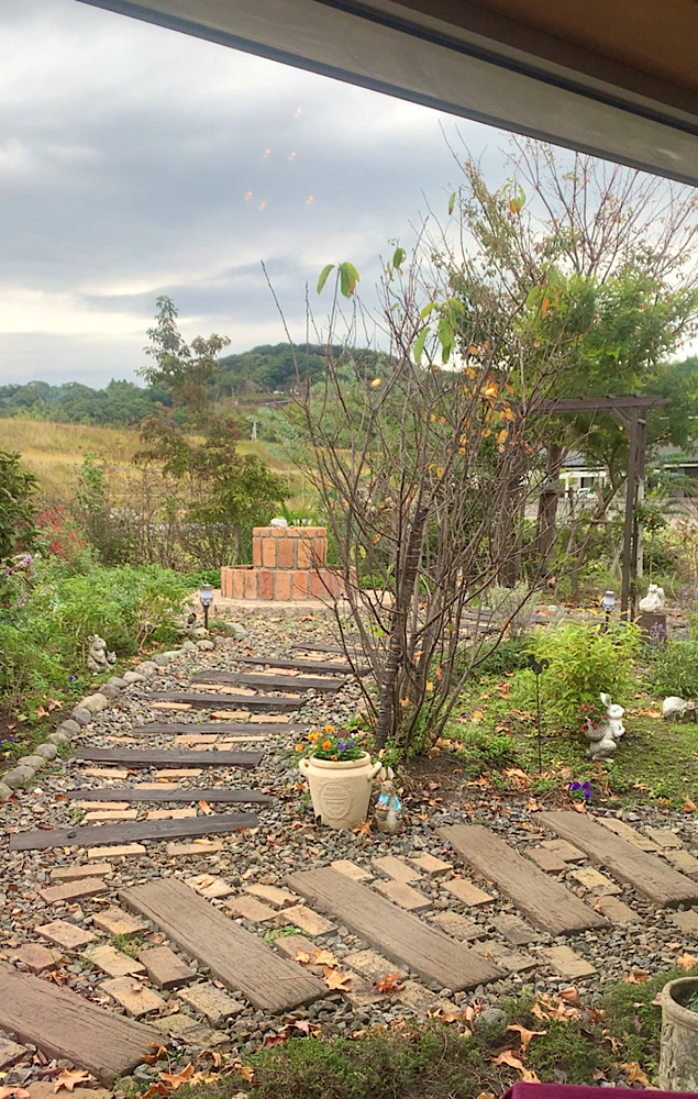 おしゃれで美味しい徳島グルメを楽しめるレストラン｜おしゃれ美活旅 羽ノ浦 ルゥ