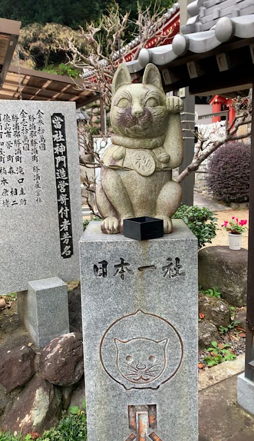 四国・徳島県で有名な猫神さまの神社｜おしゃれ美活旅。お松大権現（おまつだいごんげん）