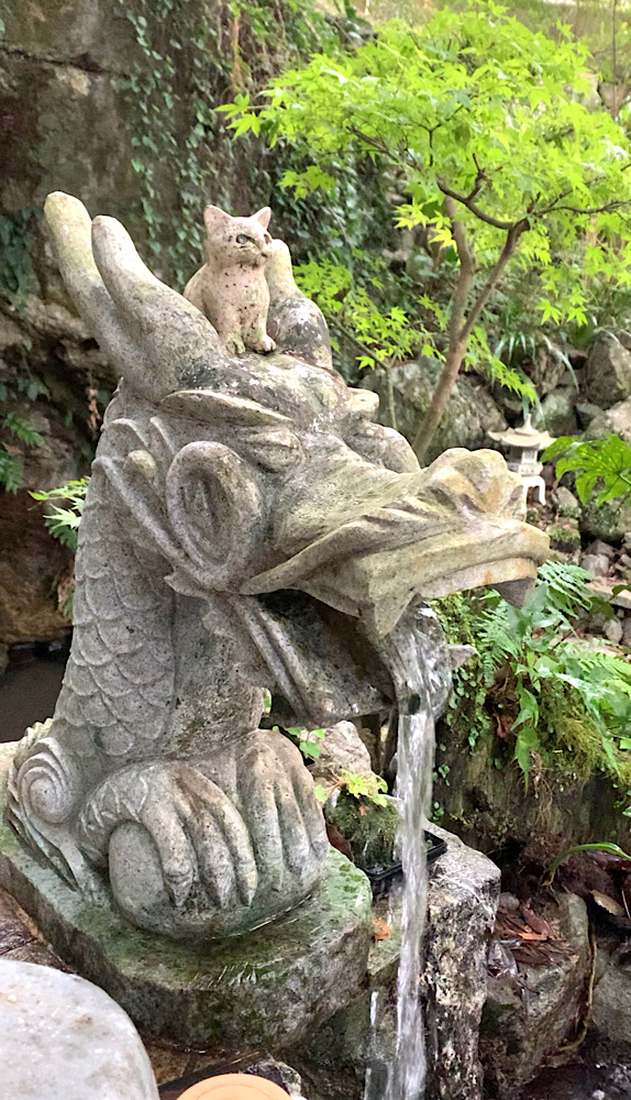 四国・徳島県で有名な猫神さまの神社｜おしゃれ美活旅。お松大権現（おまつだいごんげん）