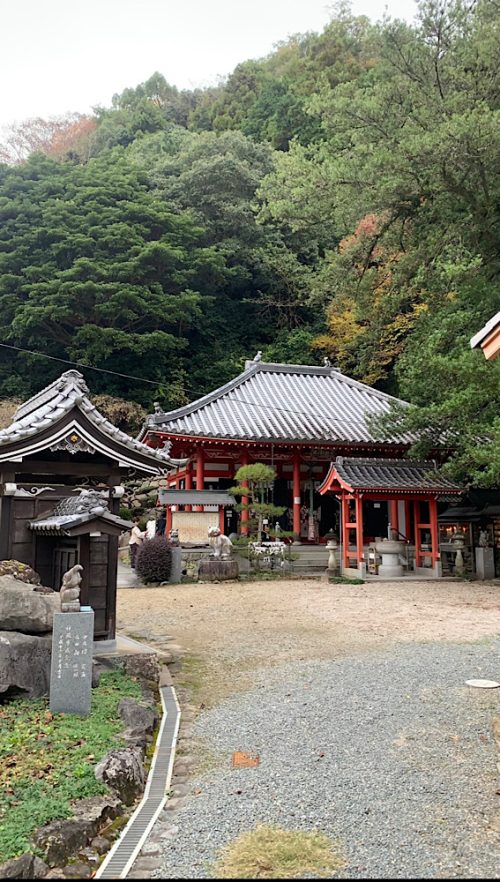 四国・徳島県で有名な猫神さまの神社｜おしゃれ美活旅。お松大権現（おまつだいごんげん）