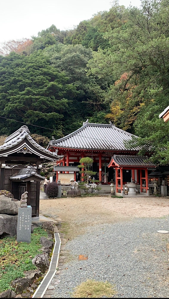 四国・徳島県で有名な猫神さまの神社｜おしゃれ美活旅。お松大権現（おまつだいごんげん）