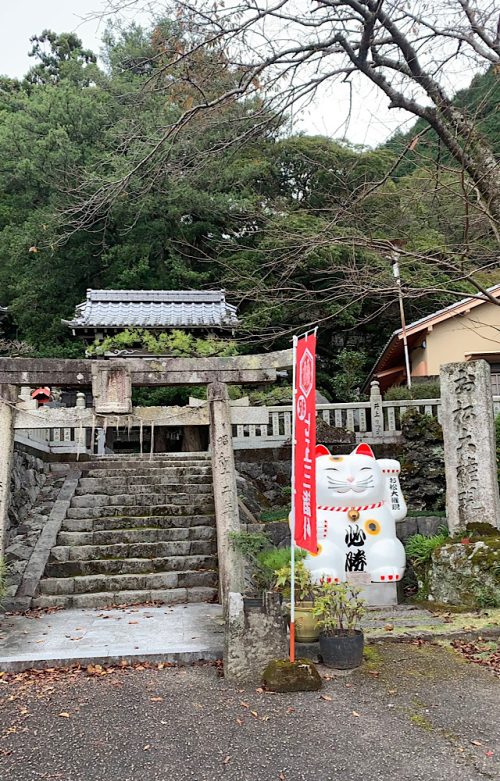 四国・徳島県で有名な猫神さまの神社｜おしゃれ美活旅。お松大権現（おまつだいごんげん）