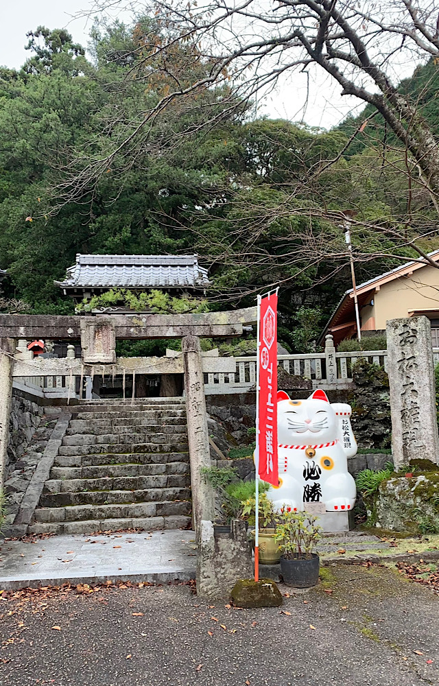 四国・徳島県で有名な猫神さまの神社｜おしゃれ美活旅。お松大権現（おまつだいごんげん）