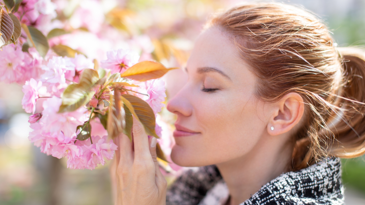 コピペ★SNSおしゃれに!お花見.｡❀*.:｡の顔文字・特殊絵文字まとめ【インスタ映え】