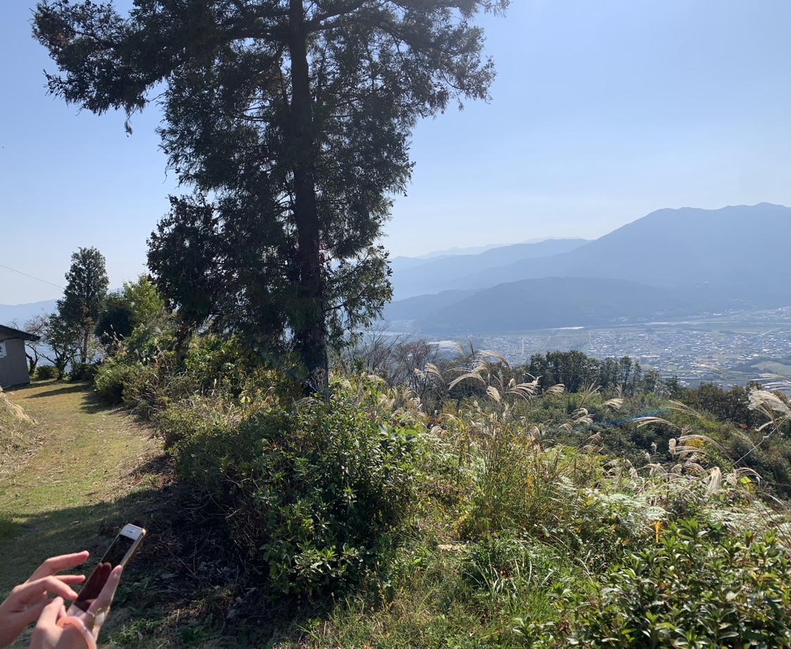 徳島観光！自然に癒される美馬市の絶景穴場スポット美村が丘｜大人女子旅【SNS映え】
