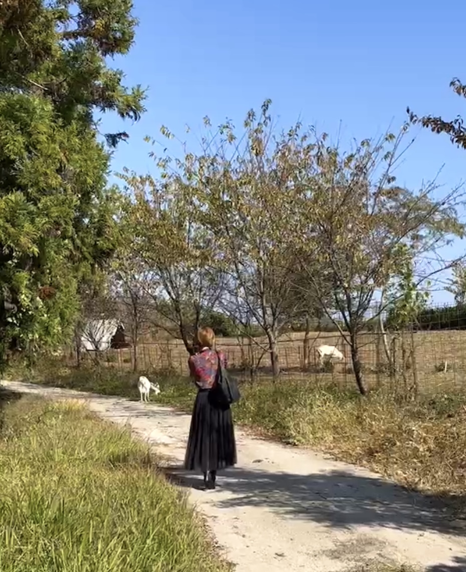 徳島観光！自然に癒される美馬市の絶景穴場スポット美村が丘｜大人女子旅【SNS映え】