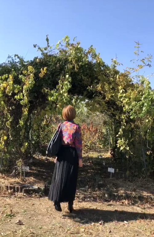 徳島観光！自然に癒される美馬市の絶景穴場スポット美村が丘｜大人女子旅【SNS映え】