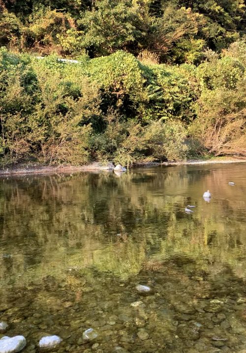 徳島観光！自然に癒される美馬市の絶景穴場スポット穴吹川｜大人おしゃれ女子旅【SNS映え】