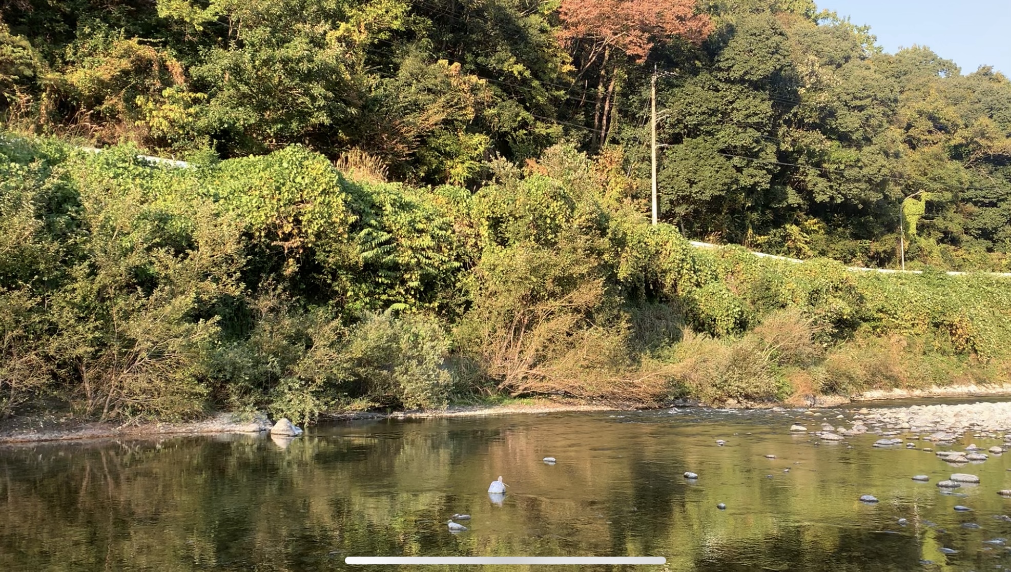 徳島観光！自然に癒される美馬市の絶景穴場スポット穴吹川｜大人おしゃれ女子旅【SNS映え】