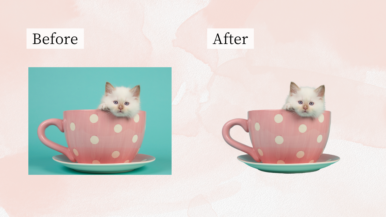 Canva便利機能！写真の背景を透明にする方法は？【スマホアプリで解説】