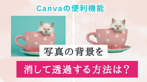 Canva便利機能！写真の背景を透明にする方法は？【スマホアプリで解説】