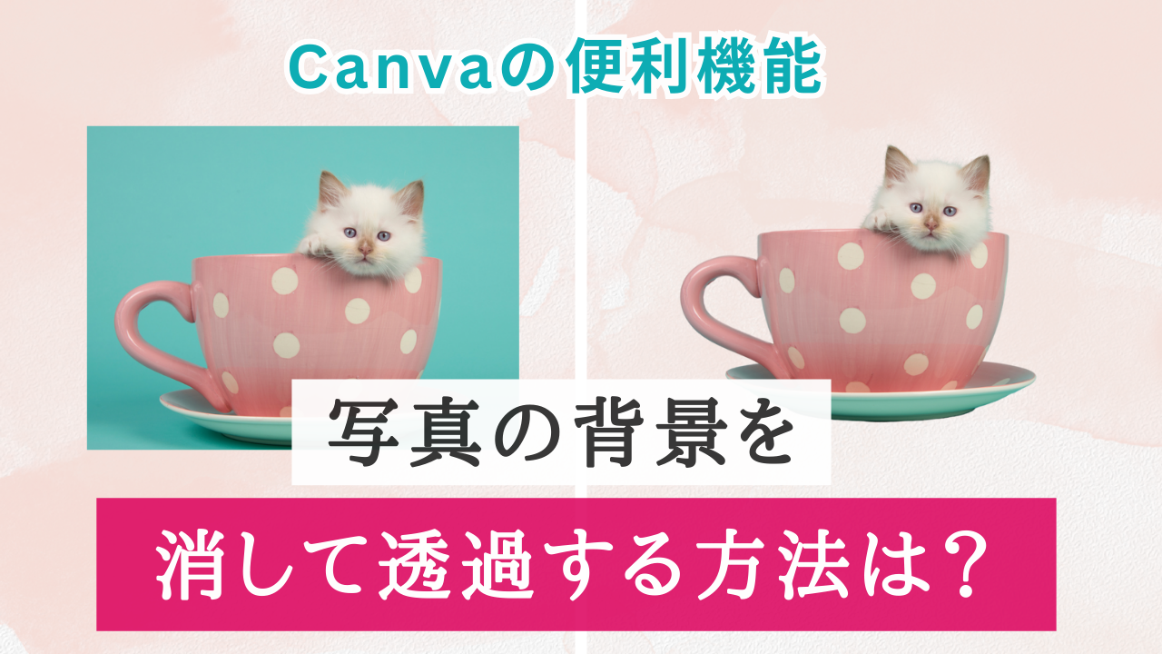 Canva便利機能！写真の背景を透明にする方法は？【スマホアプリで解説】