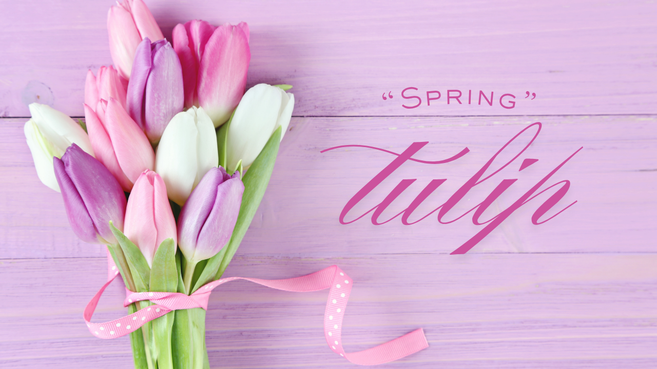 コピペ★チューリップの特殊文字・記号・絵文字まとめ｜おしゃれなSNS